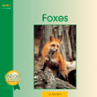 Foxes