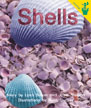 Shells