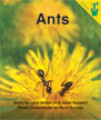 Ants