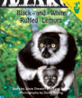 Black-and-White Ruffed Lemurs