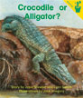 Crocodile or Alligator?