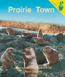 Prairie Town