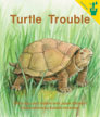 Turtle Trouble