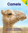 Camels