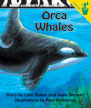 Orca Whales