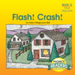 Flash! Crash!