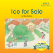 Ice for Sale